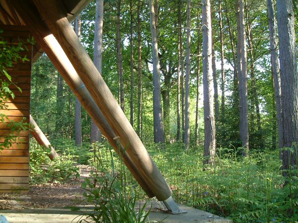 Woodland Enterprise Centre Gridshell - struts