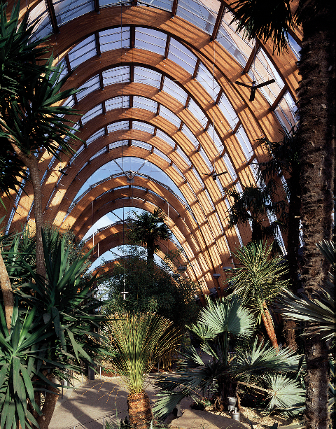 PRS - Sheffield Winter Garden 4