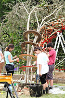 picture from roots architecture 2011