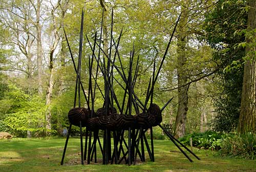 'Cloud caught in a thicket'